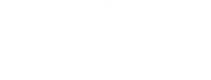 BZL Otomotiv